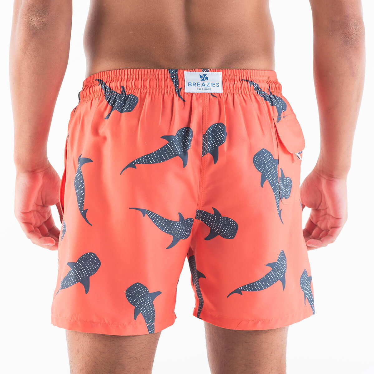 Swim Shorts - Whale Shark | Orange