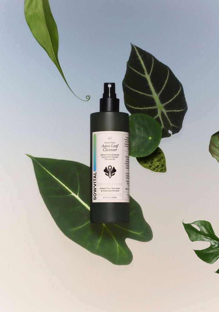 Aqua Leaf Cleanser - Plain Tiger Garden & Plants