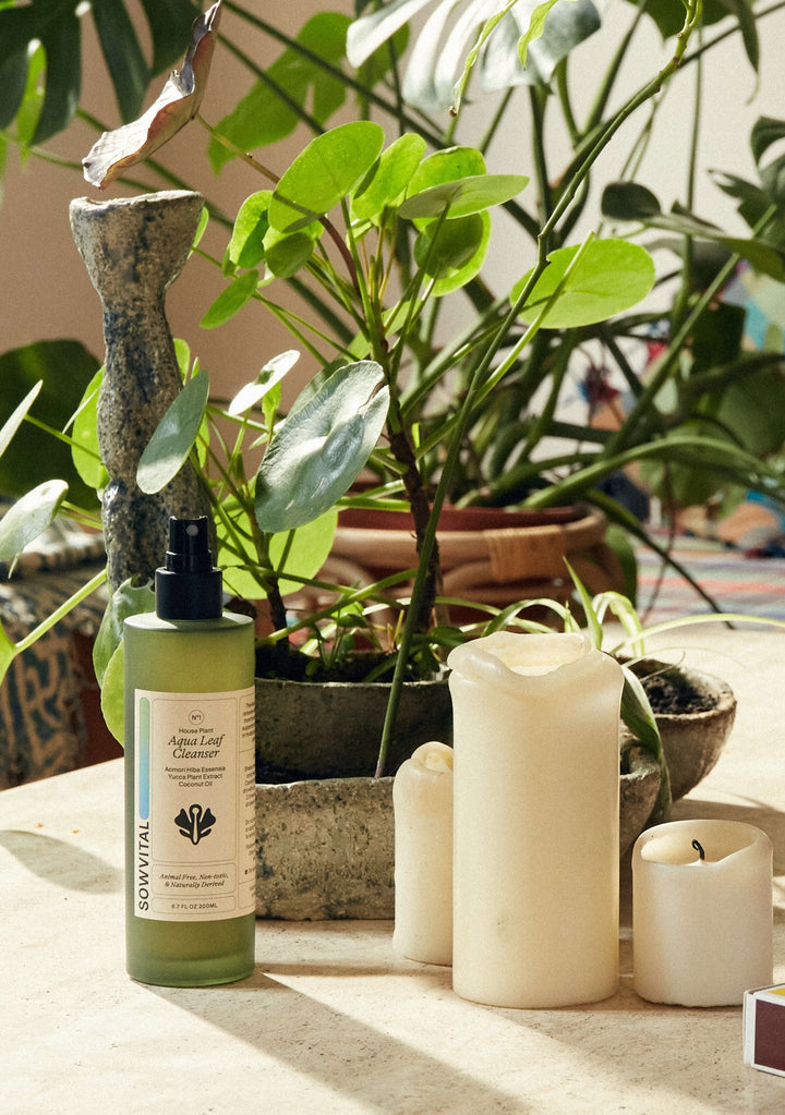 Aqua Leaf Cleanser - Plain Tiger Garden & Plants