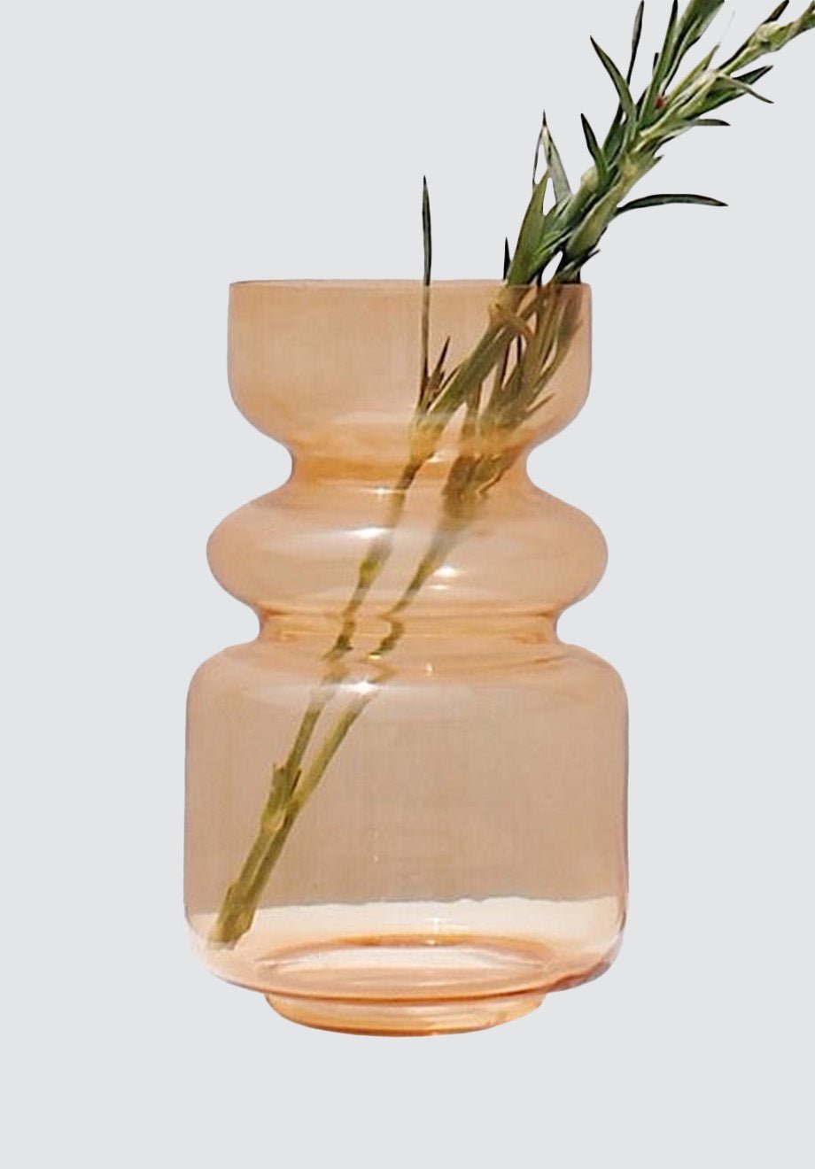 Elsa Glass Vase | Tangerine Orange - Plain Tiger Vases & Vessels