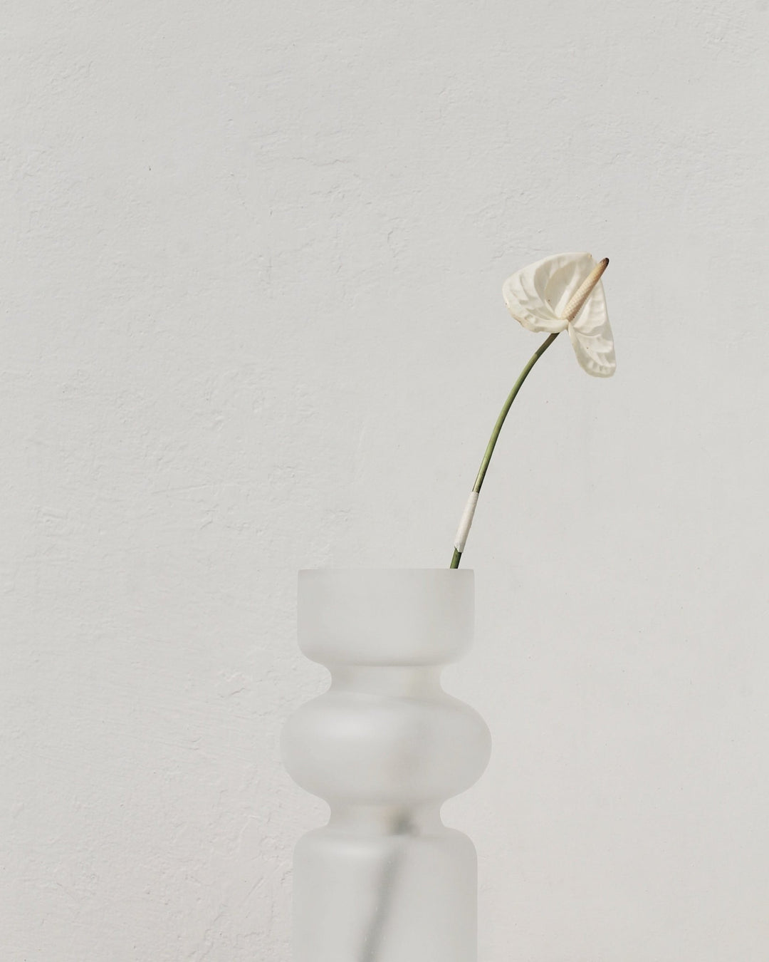 Iris Glass Vase | Frosted White - Plain Tiger Vases & Vessels