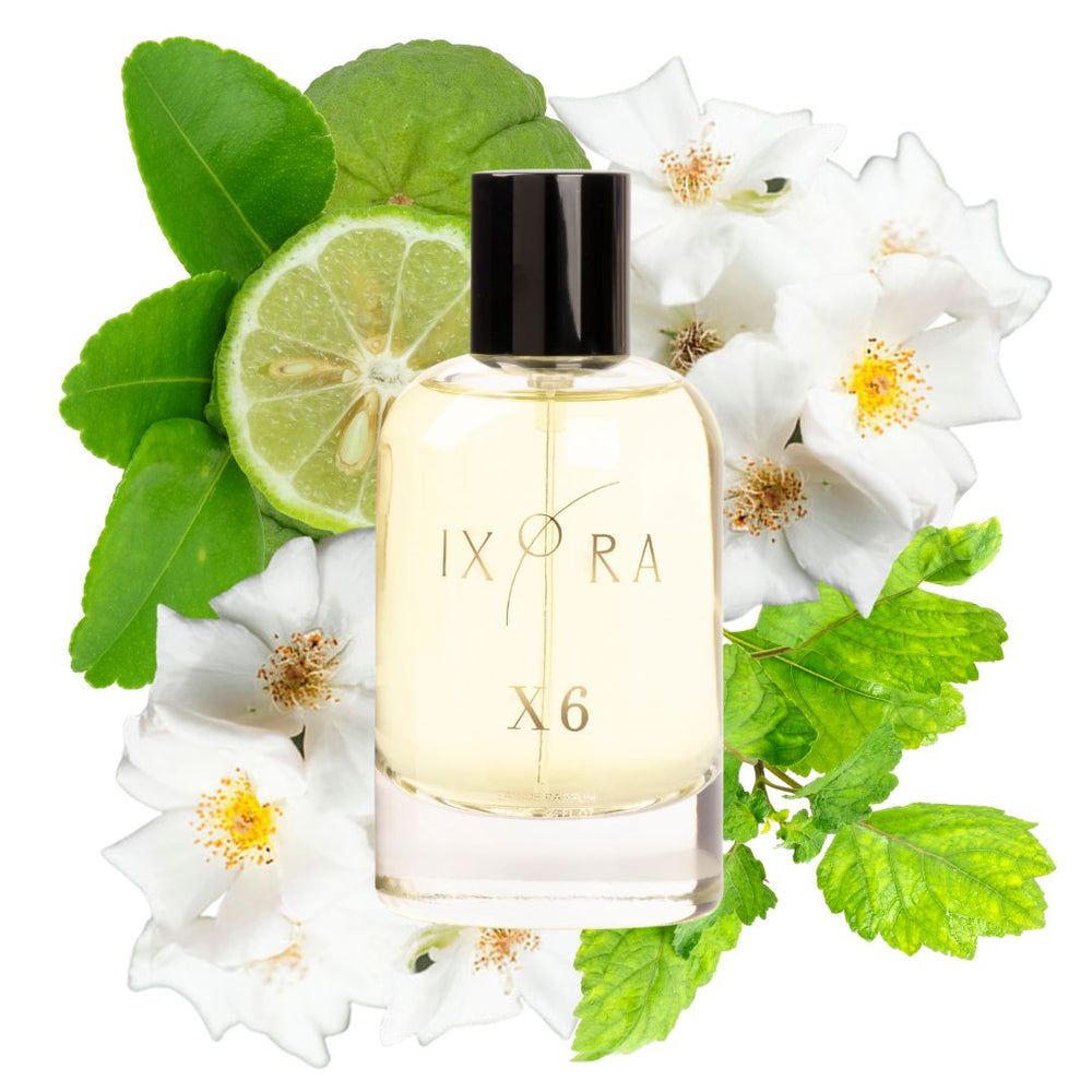 Ixora X6 - Plain Tiger Solid Fragrance