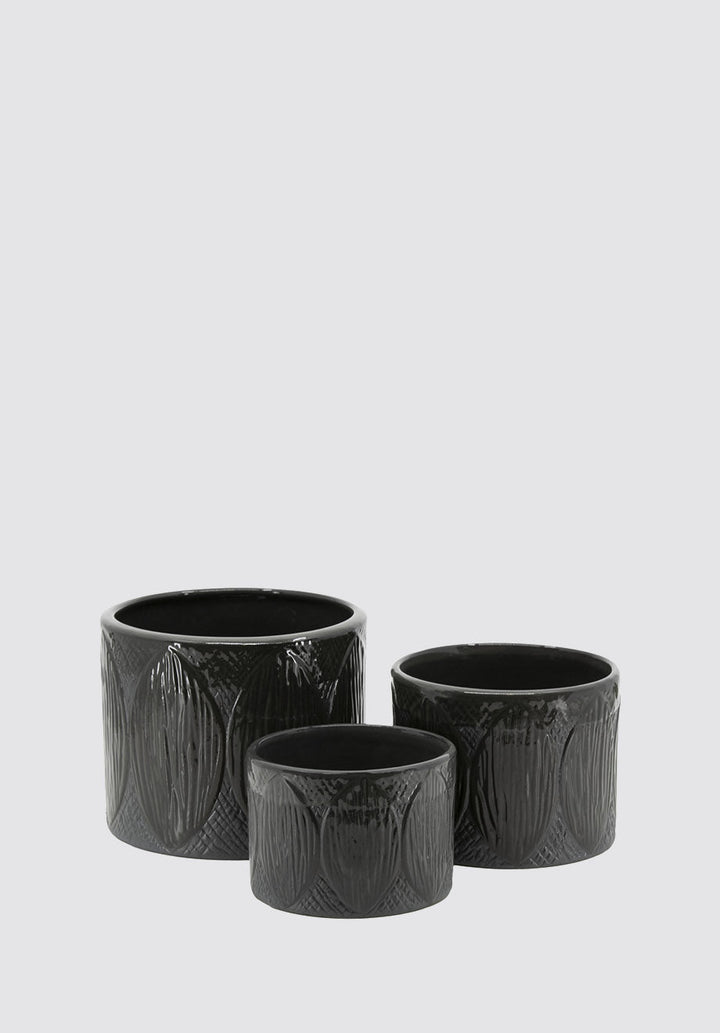 Kapok Pot | Set of 3 - Plain Tiger Vases & Vessels