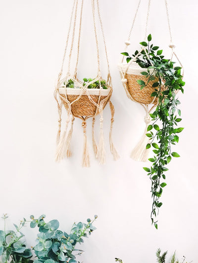 Plant Hanger | Bitan