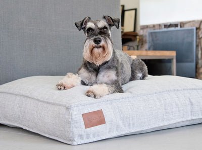 Lulu Dog Cushion