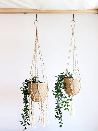 Plant Hanger | Fiora