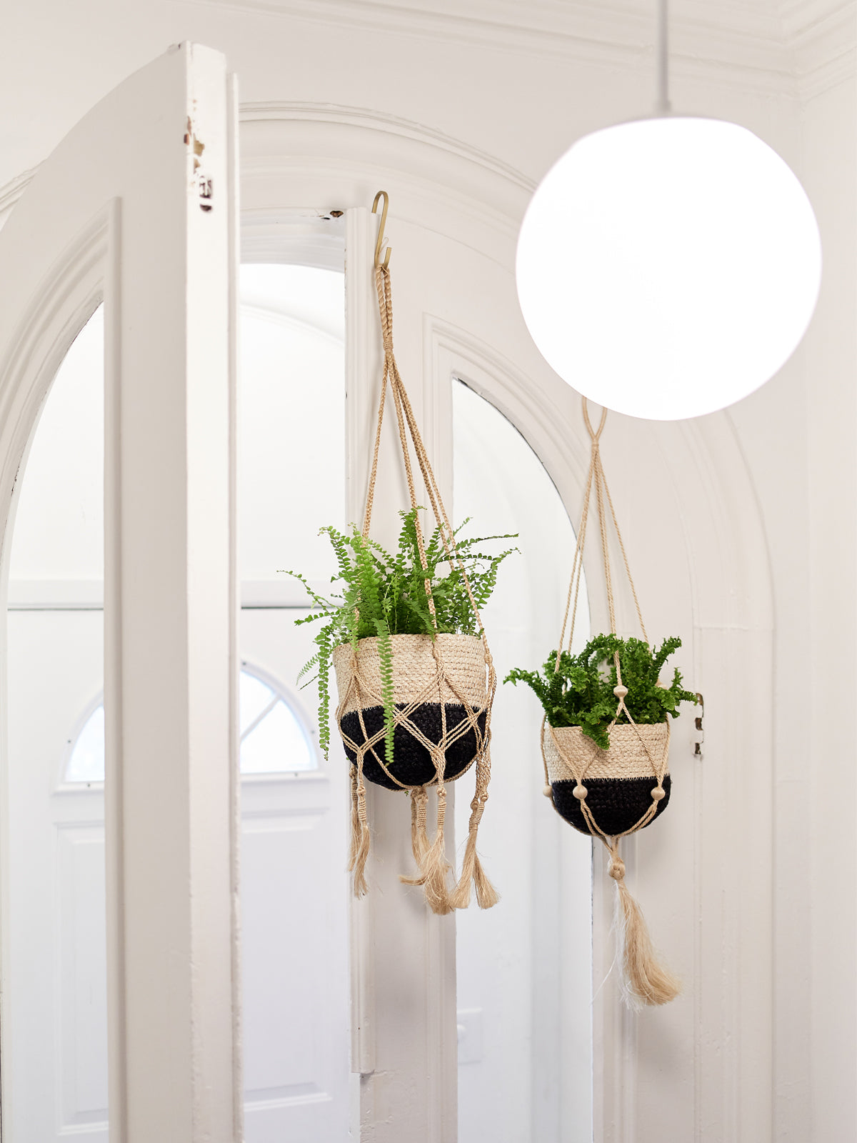 Plant Hanger | Bitan