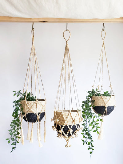 Plant Hanger | Shuly