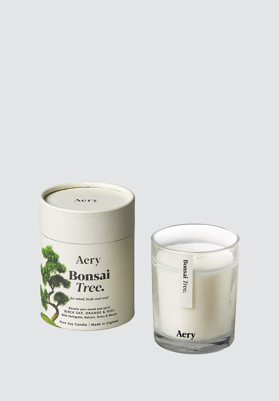 Bonsai Tree Scented Candle | Birch Sap Orange & Yuzu