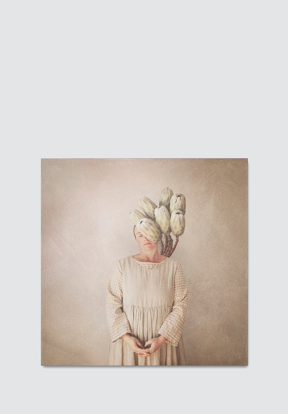 Bloom | Protea Art Print