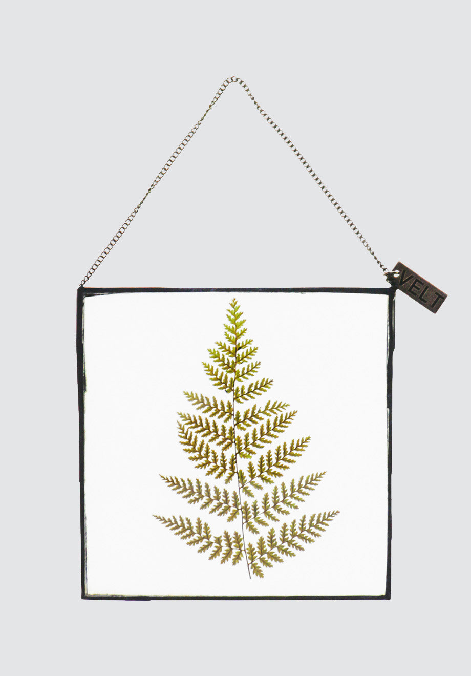 Life with Ferns Botanical Art | Square Small