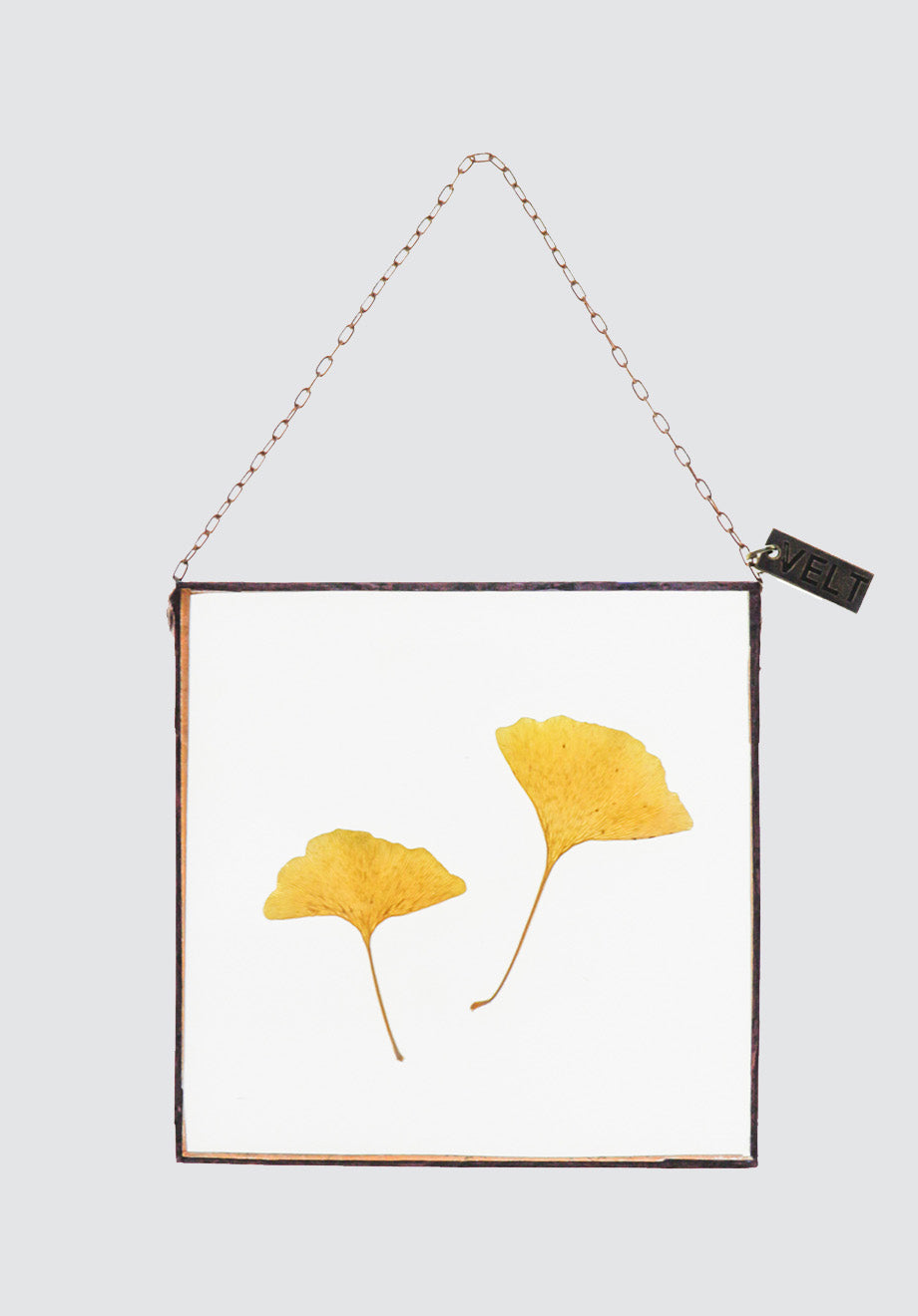 Love of Leaves Botanical Art | Square Small