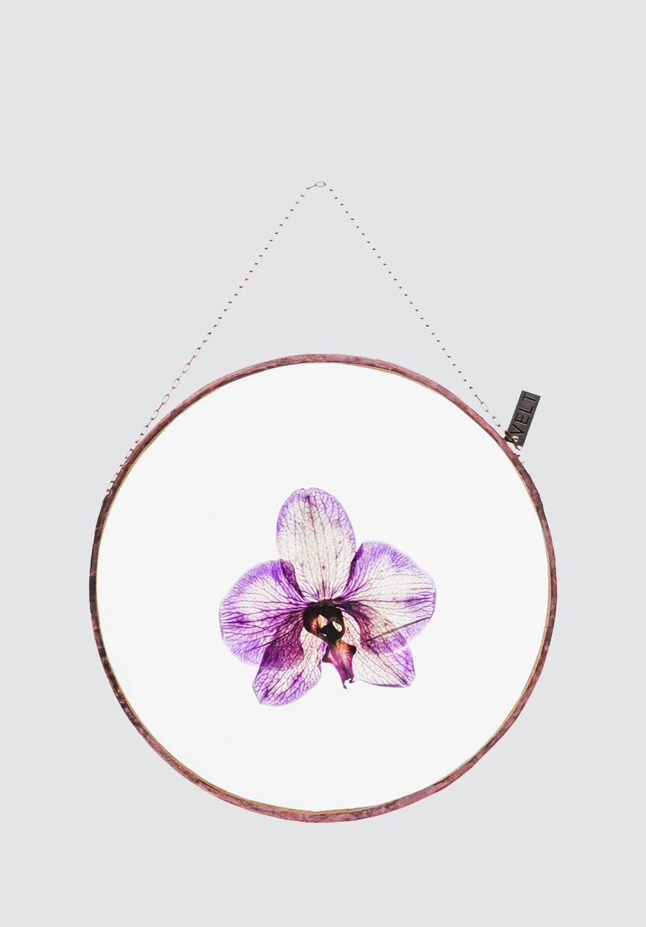Orchid Blooms Botanical Art | Round Large