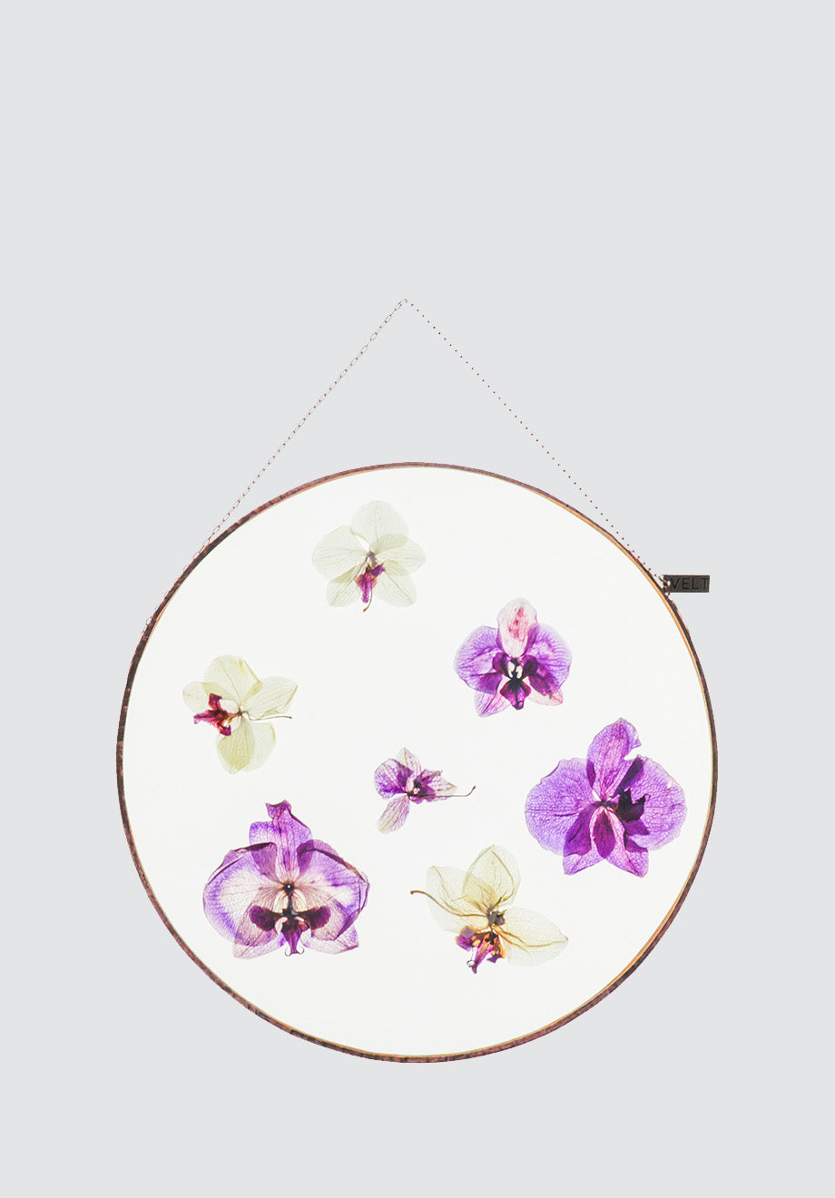 Orchid Blooms Botanical Art | Round XL