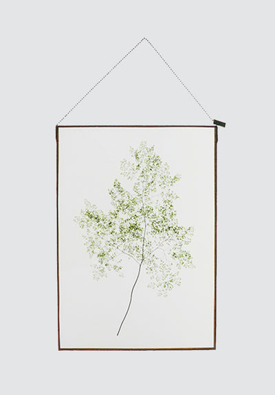 Life with Ferns Botanical Art | A3
