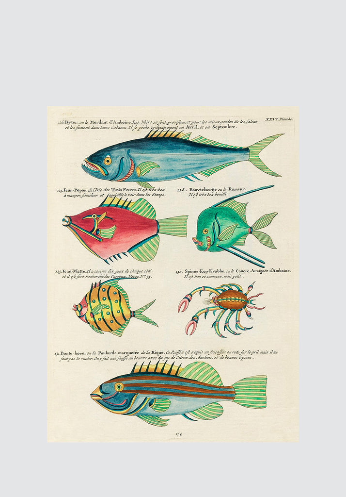 Surreal Tropical Fish 19 Print