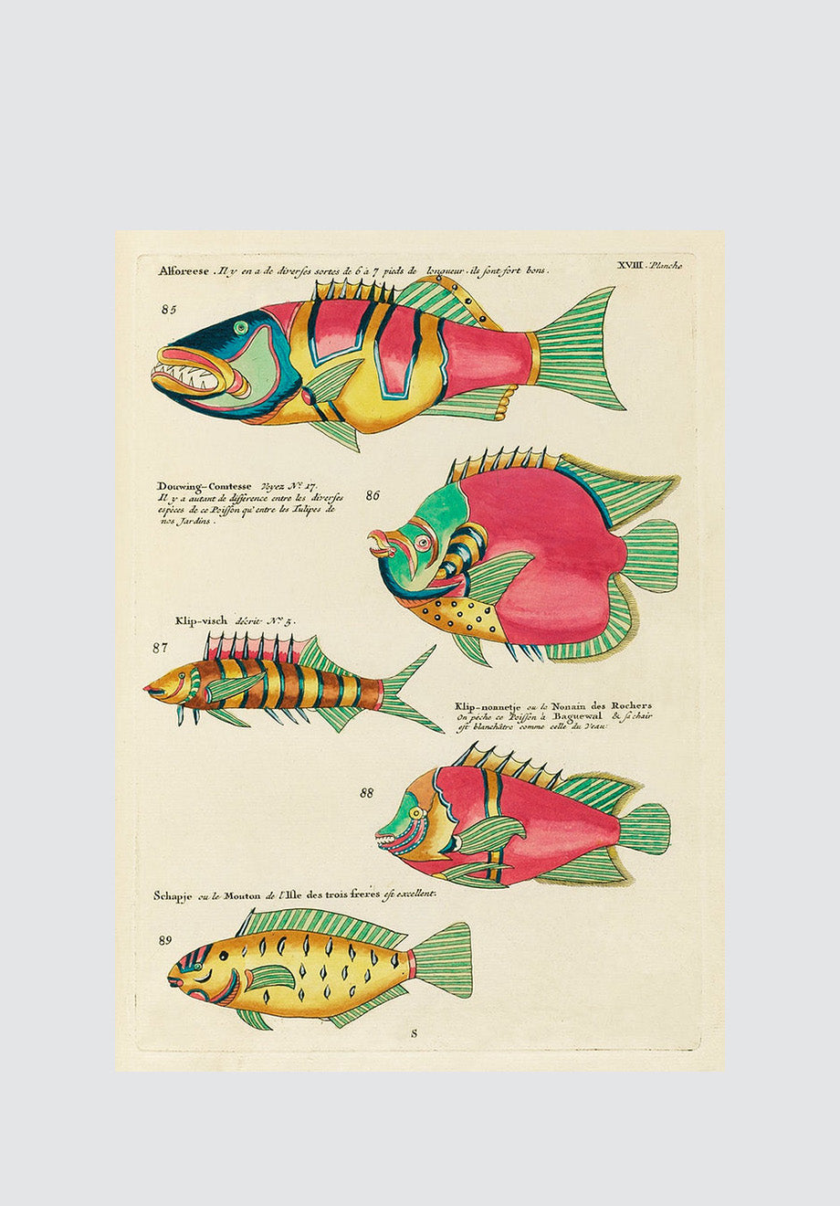 Surreal Tropical Fish 18 Print