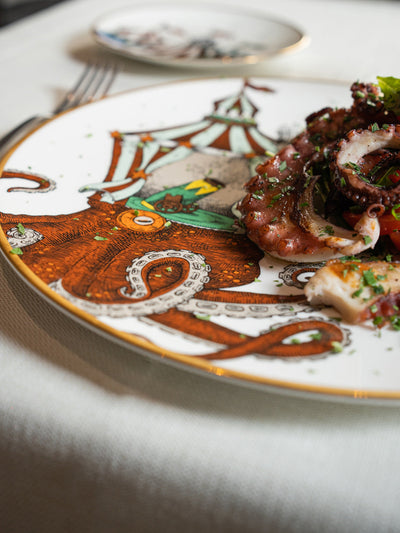Octopus Plate Searcus