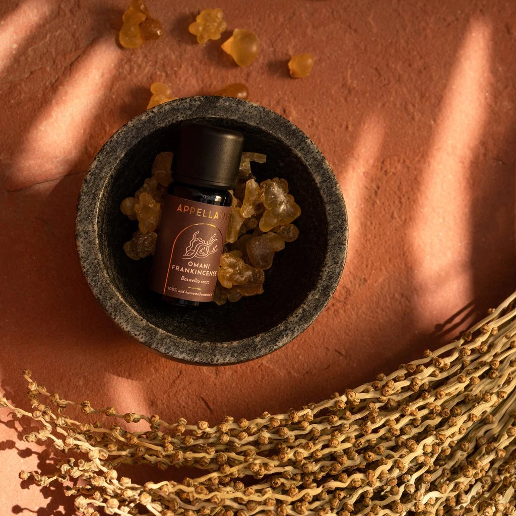 Omani Frankincense | Wild-harvested Essential Oil
